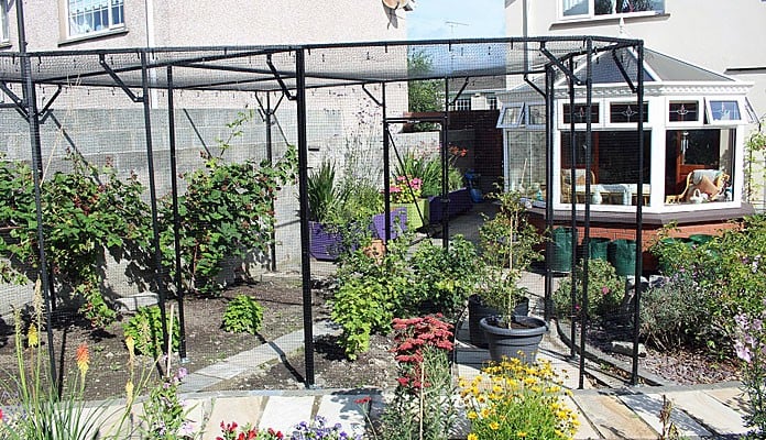 Fruit Cage Steel Angled Sloped After, Mr M - Ireland