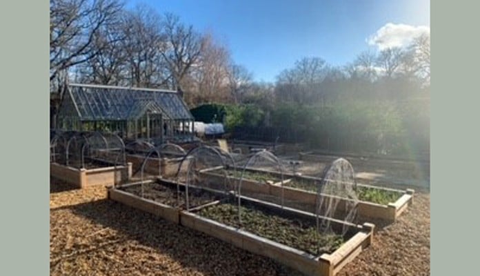 1 and 2 Tier Superior Bespoke Raised Beds with hoops and butterfly net covers 