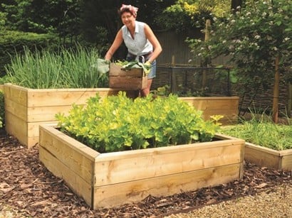 Cheer up your garden with raised vegetable beds - Harrod Horticultural