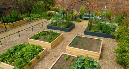 Win Award Winning Raised Beds! 