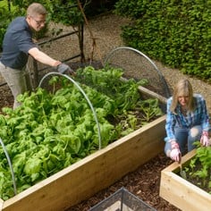 Raised Beds & Planters