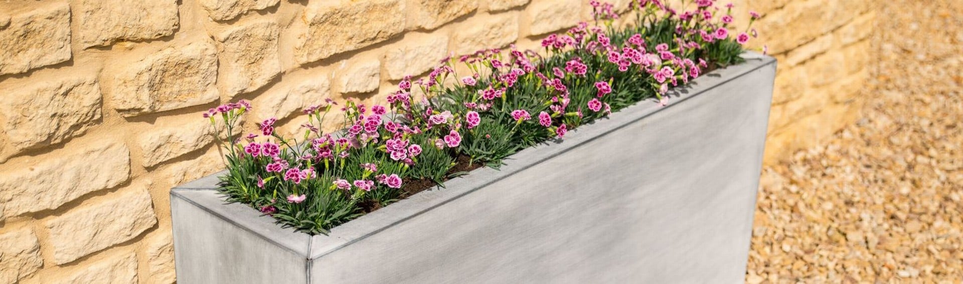 Southwold Planters