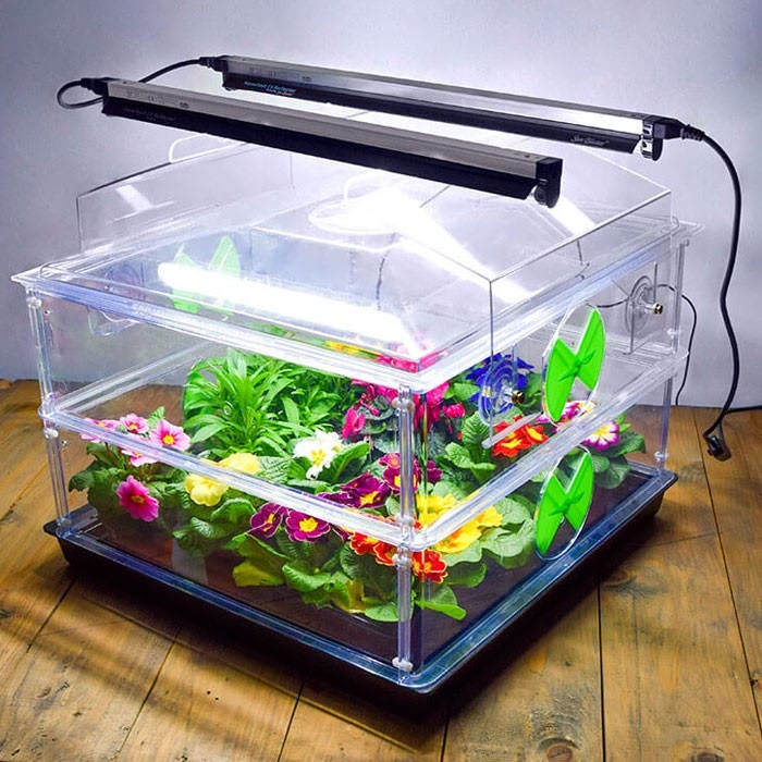 Ultimate Vitopod Heated Propagator with Lights Harrod Horticultural