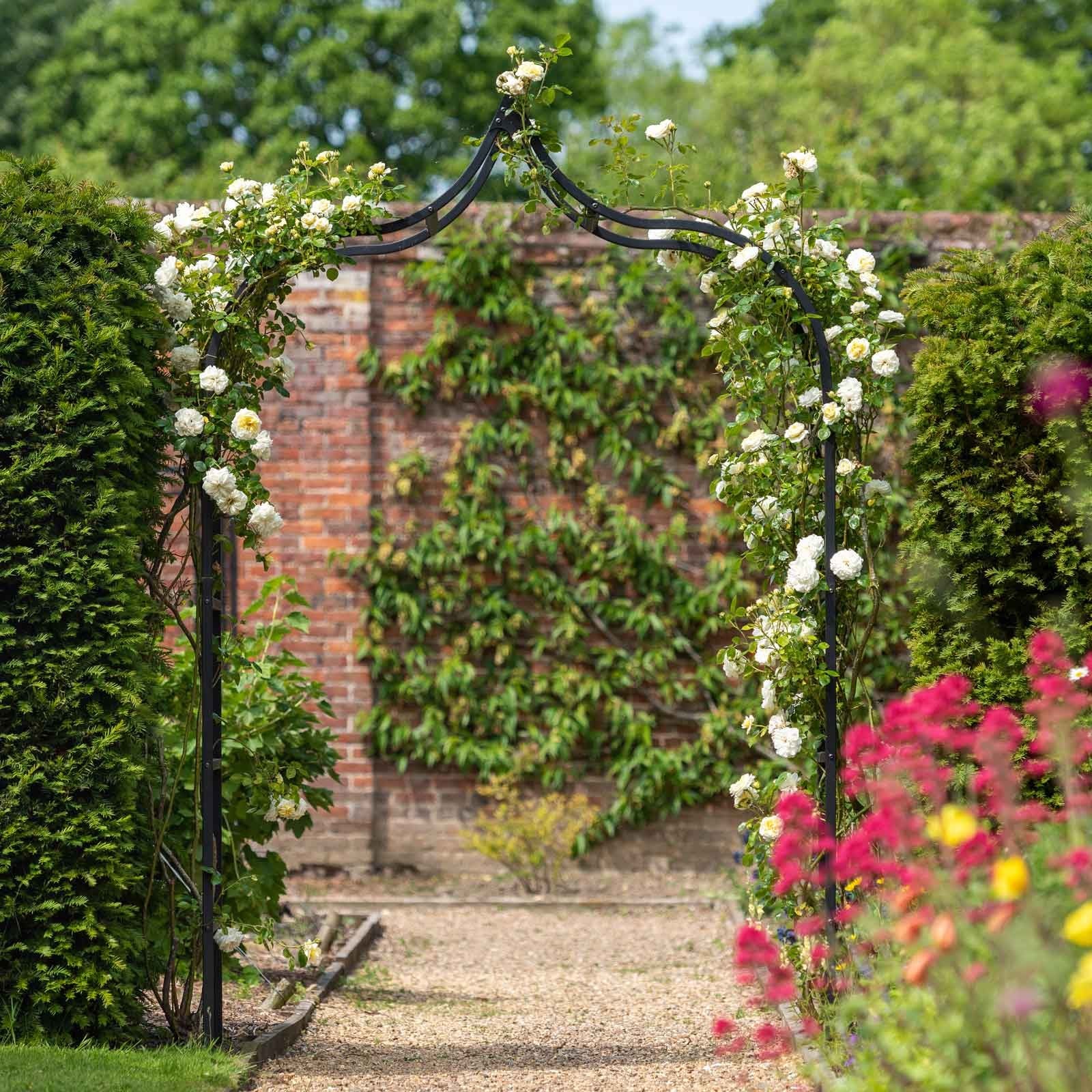 Black Ogee Style Garden Arch -  Powder Coated Steel - 10 year guarantee - Harrod Horticultural