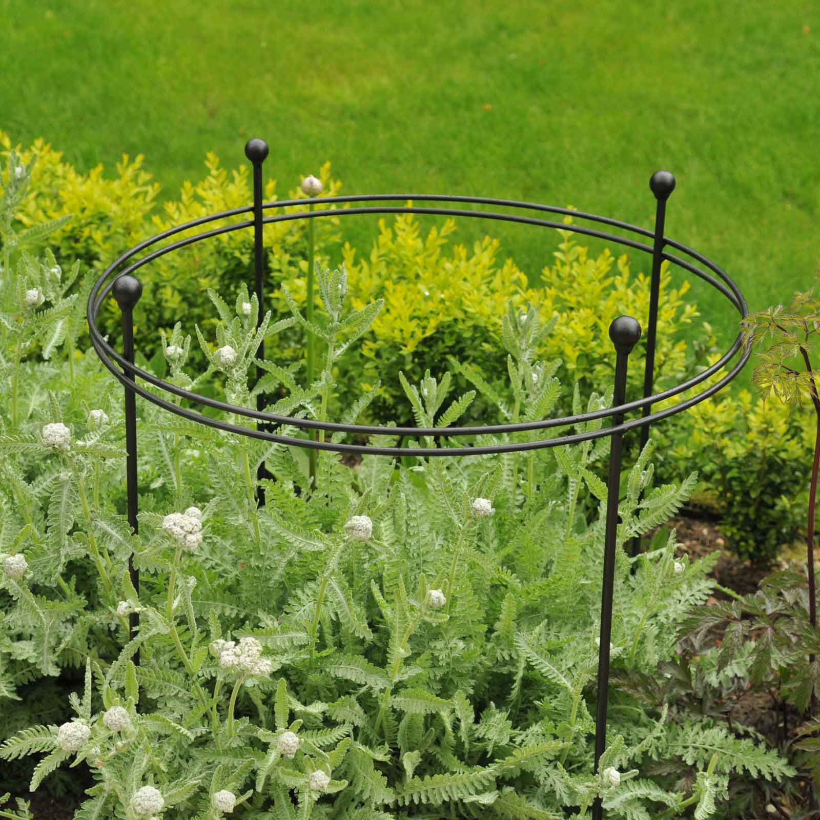 Harrod Short Circular Plant Supports Matt Black Harrod