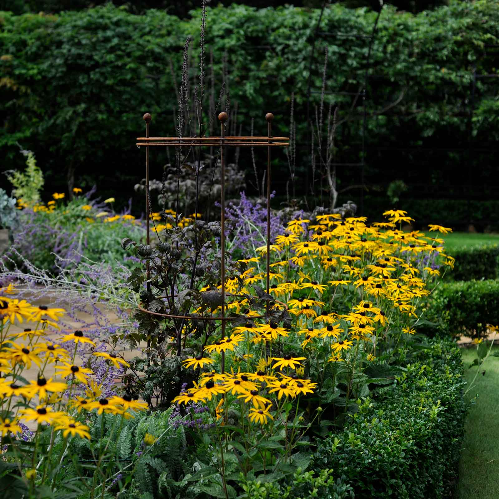 Tall Circular Plant Supports Rust Harrod Horticultural