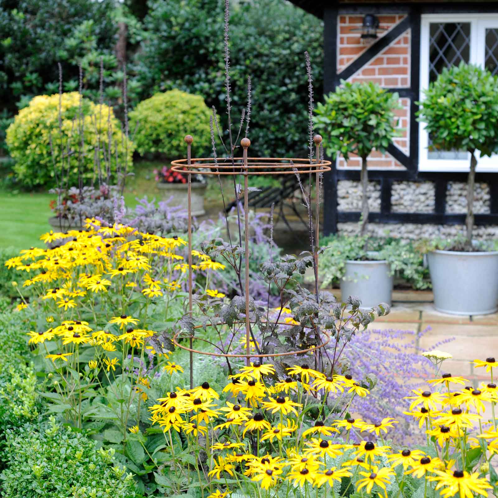 Tall Circular Plant Supports Rust - Harrod Horticultural
