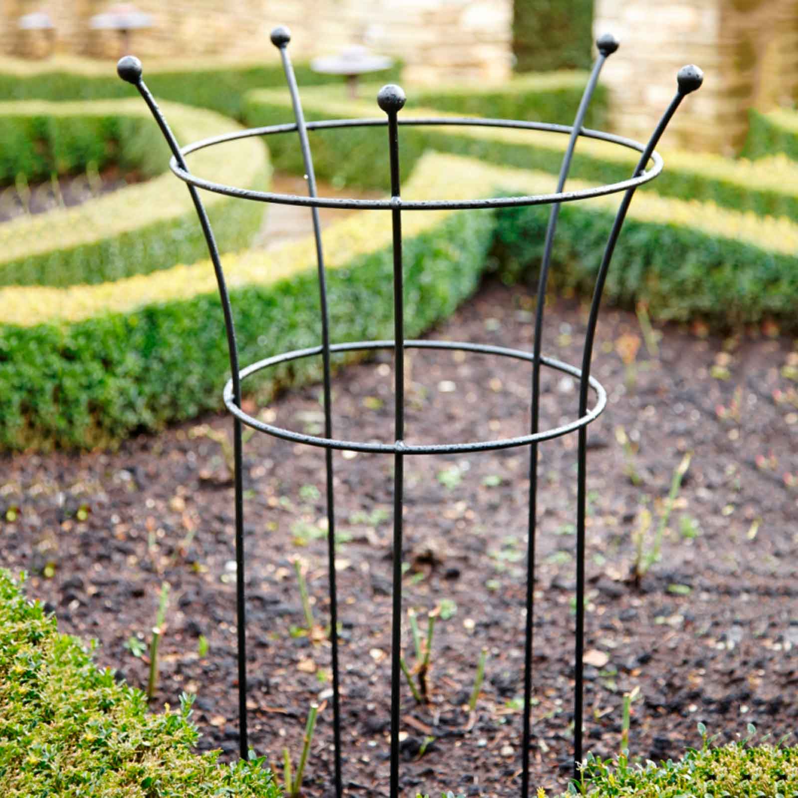 Peony plant cage supports support harrod trumpet matt verbena garden cages peonies zantedeschia aethiopica horticultural large harrodhorticultural zoom click allotment
