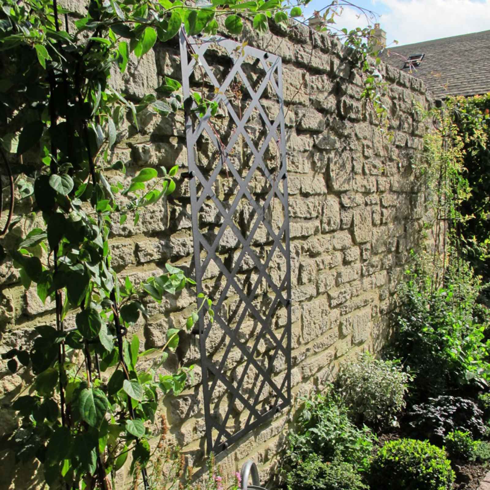 Harrod Superior Lattice Wall Trellis Panel Harrod Horticultural