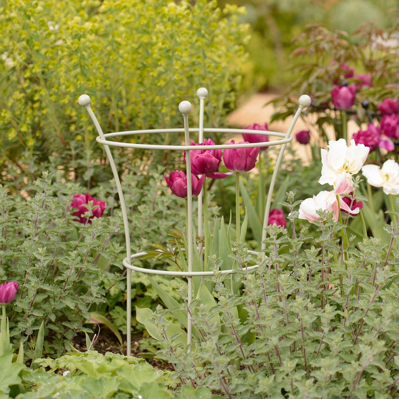 Supporting peonies deals
