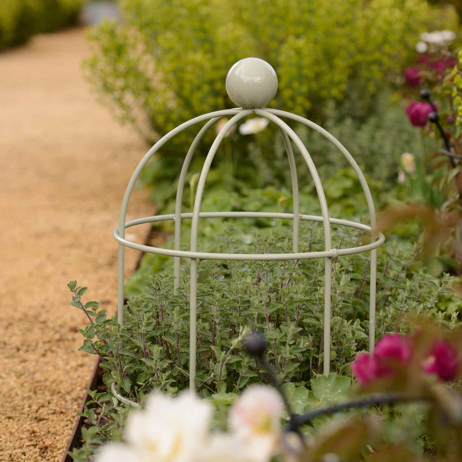 Lobster Pot Plant Supports Lichen Green Harrod