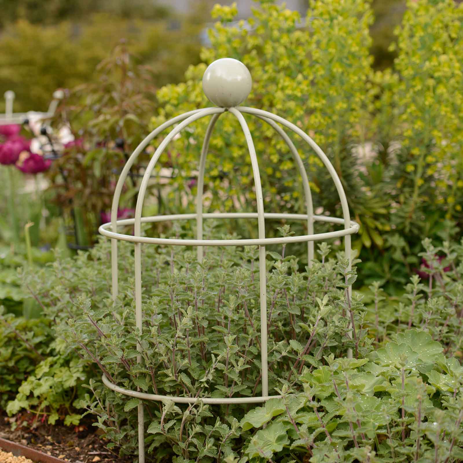 Lobster Pot Plant Supports Lichen Green Harrod
