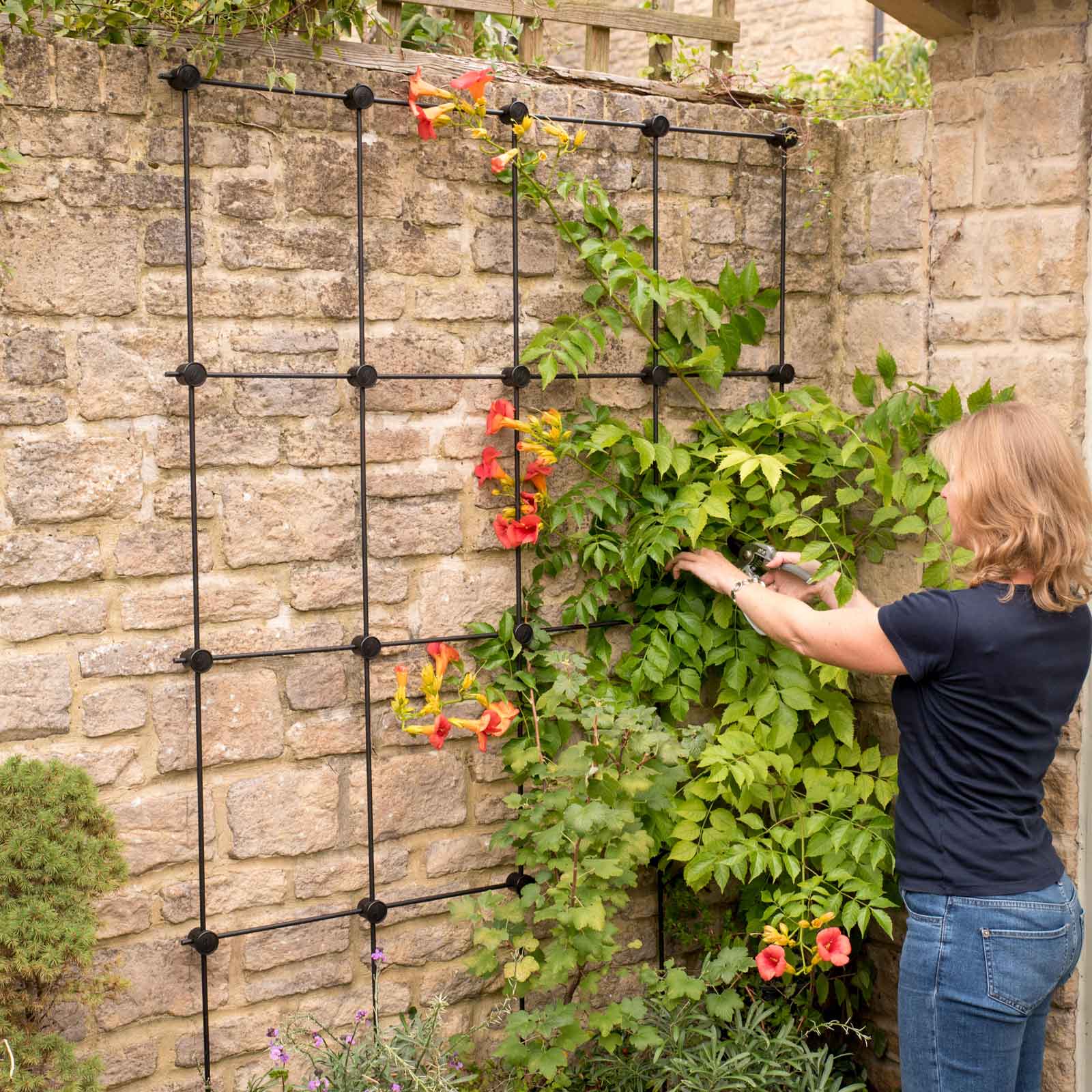 Harrod Build Your Own Trellis