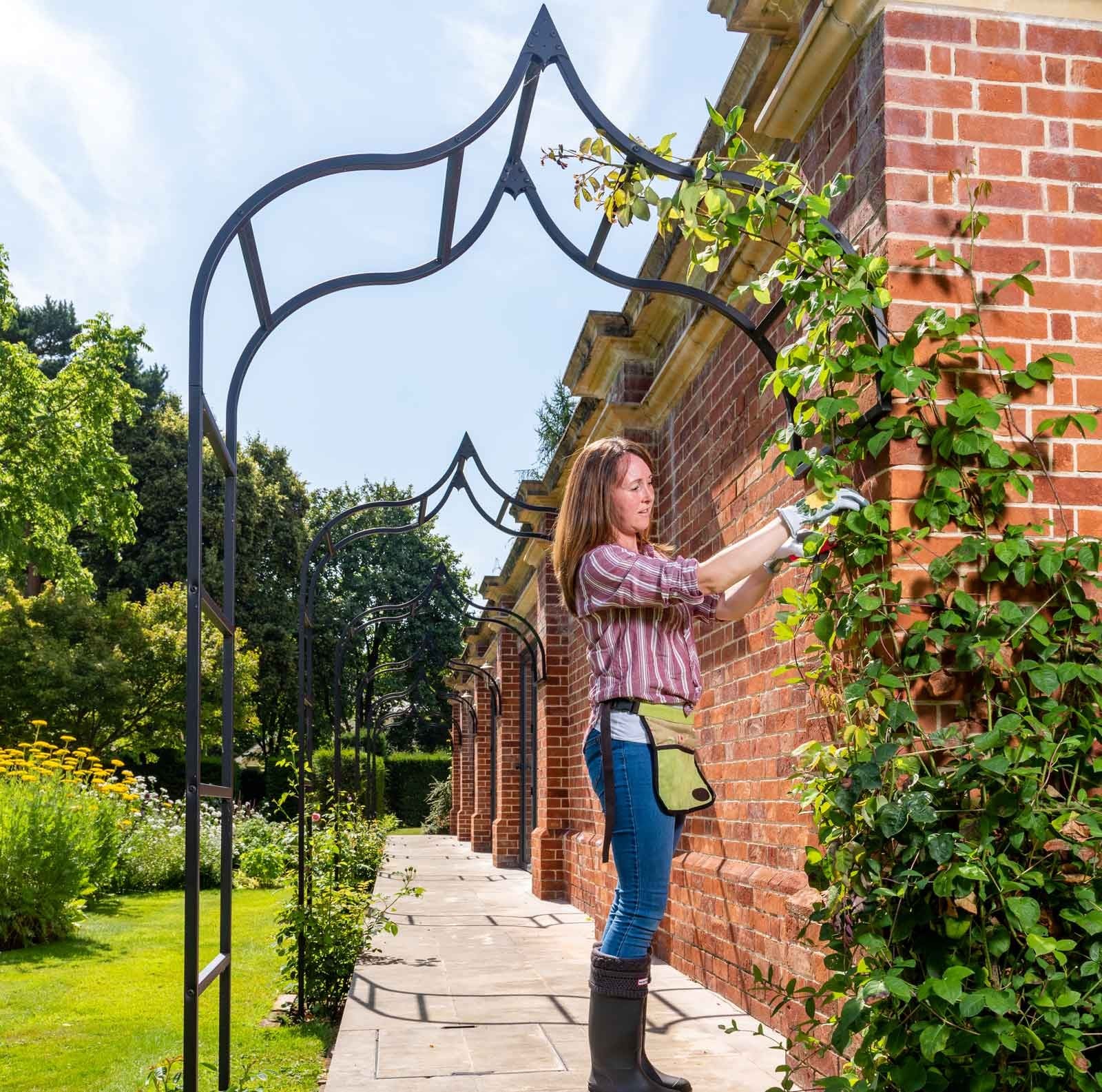 Black Ogee Style Wall Mounted Arch -  Powder Coated Steel - 10 year guarantee - Harrod Horticultural