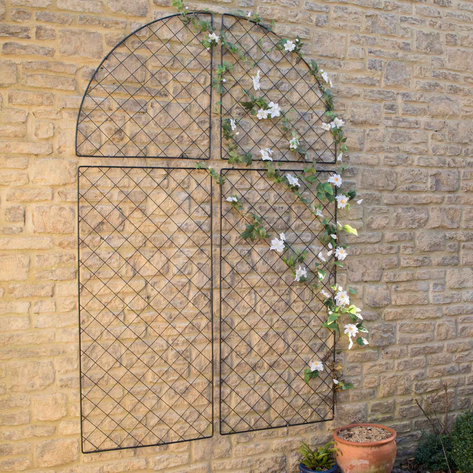 Harrod Wall Trellis Frames from Harrod Horticultural