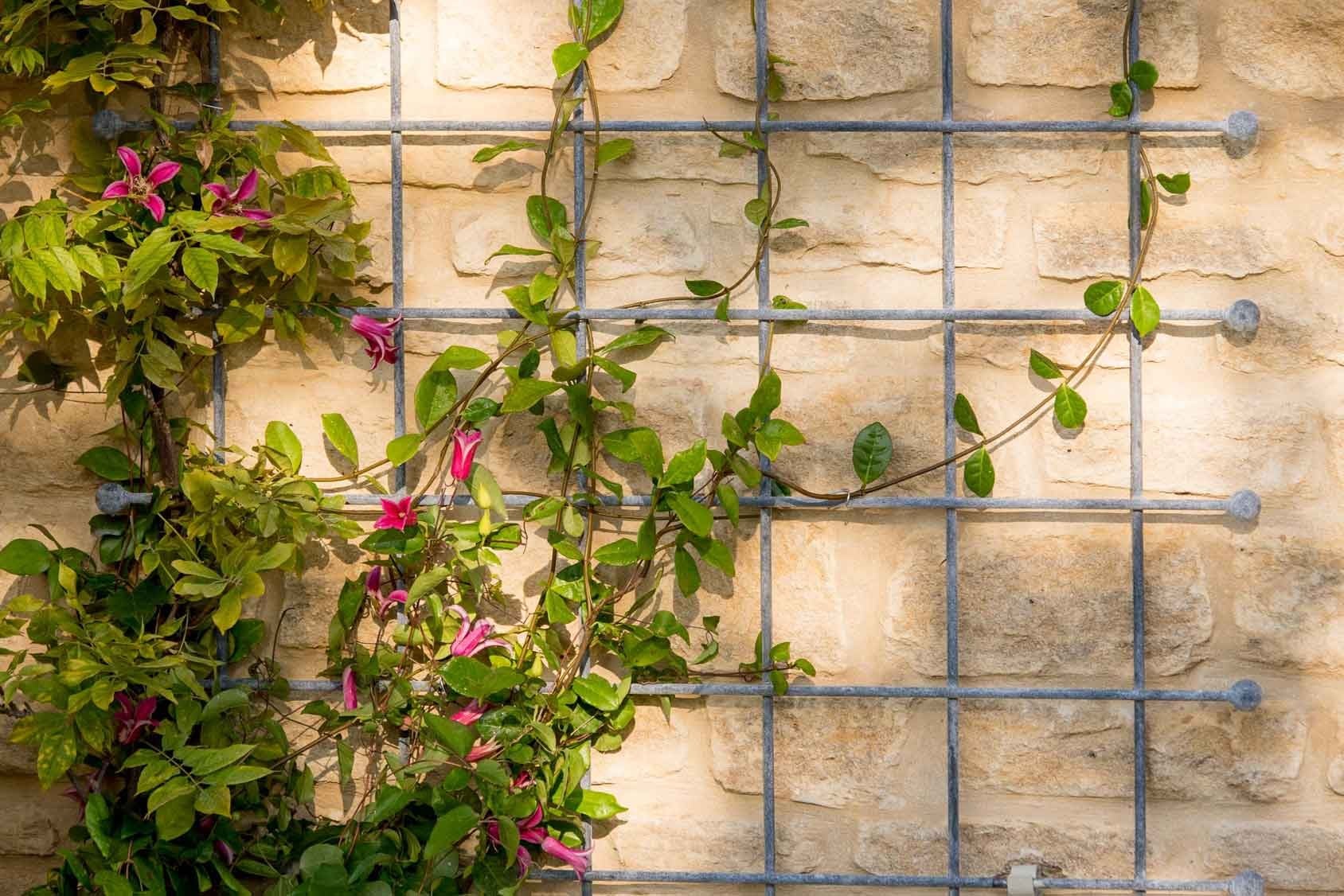 Southwold Decorative Wall Trellis Panels from Harrod Horticultural