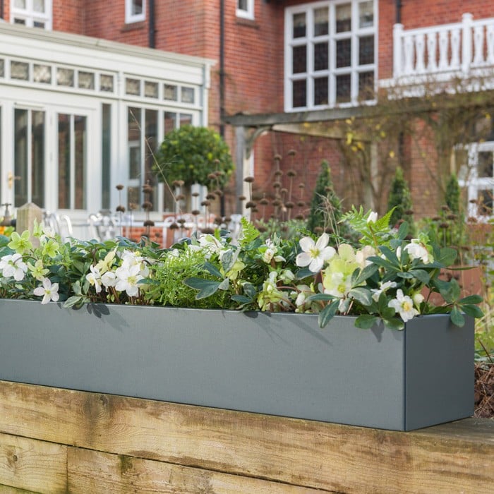 Metal Trough Planters Harrod Horticultural