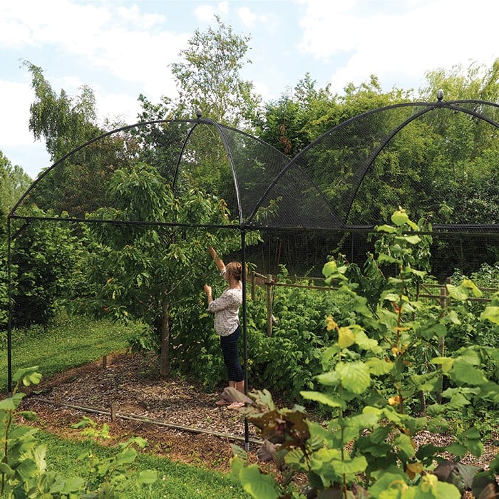 Dome Roof Fruit Cage Pineapple Finial Harrod Horticultural