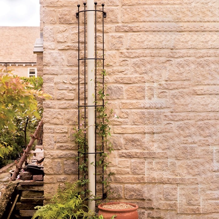 Drainpipe Trellis Harrod Horticultural