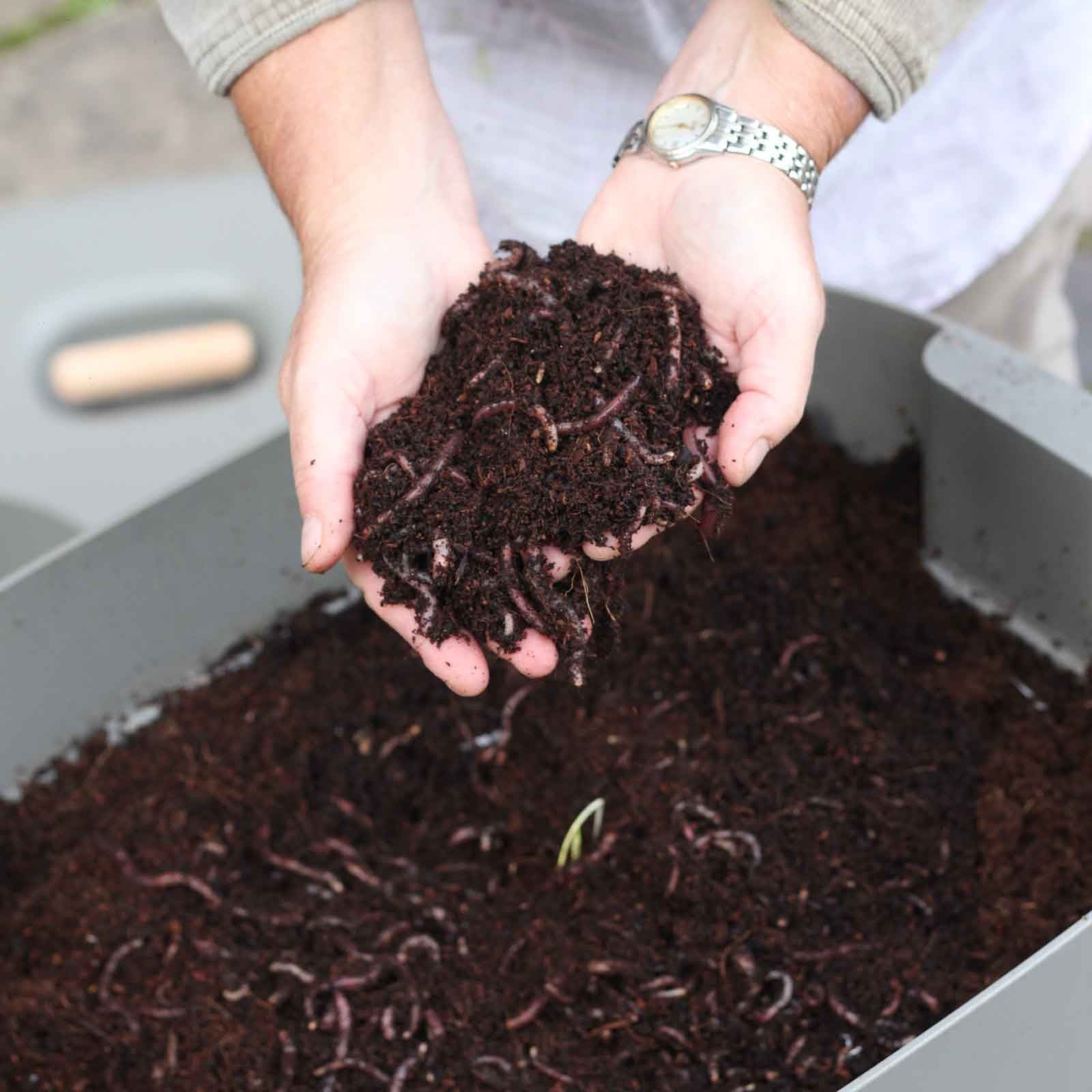 Urbalive Worm Composter Kit - Harrod Horticultural