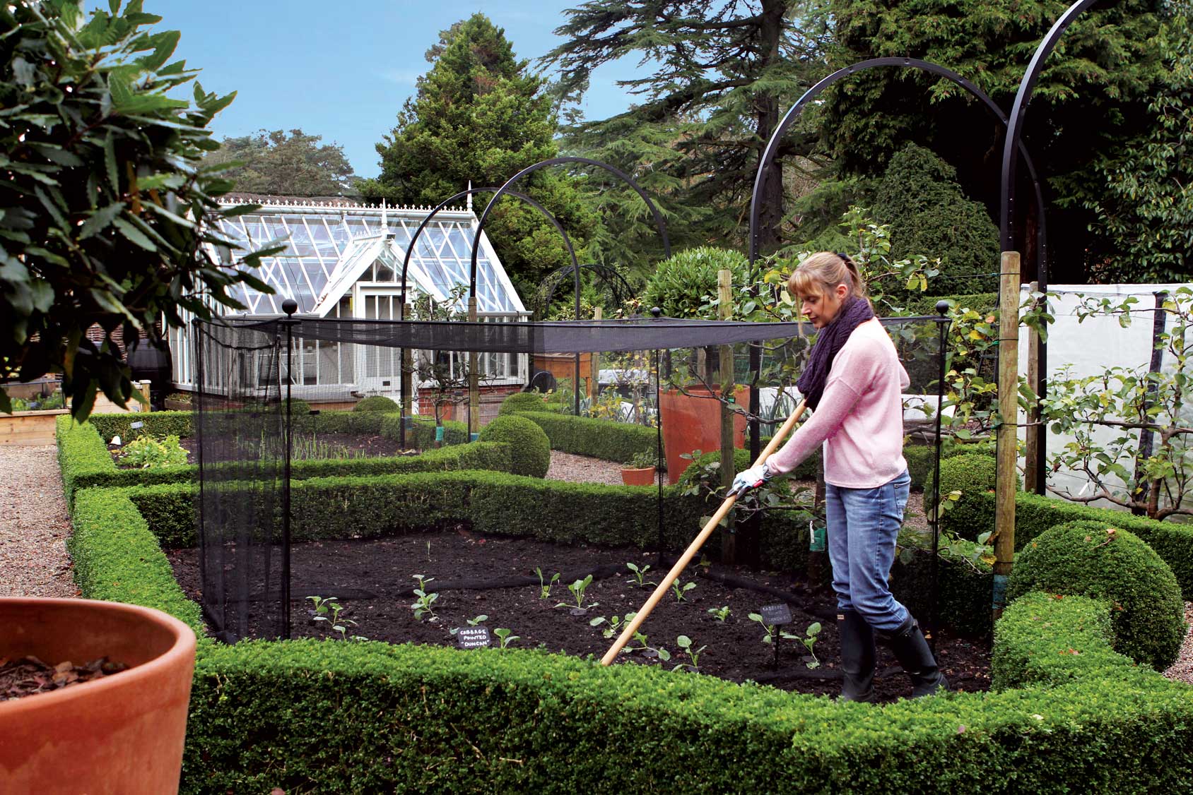 Harrod Vintage Fruit andamp; Vegetable Cage 1.5m High - Matt Black from Harrod Horticultural