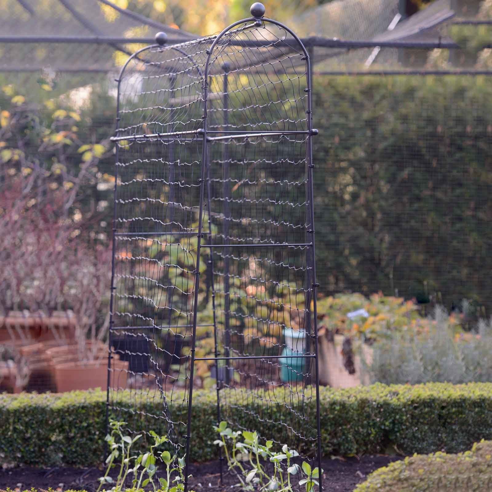 Harrod Vintage Pea & Bean Frames at Harrod Horticultural