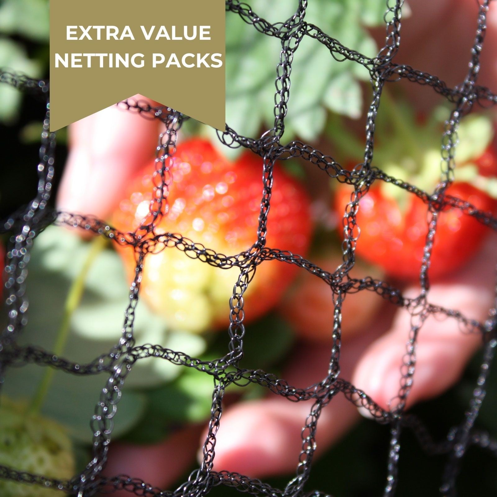 High Quality Bird Netting to Protect Your Plants - Harrod Horticultural