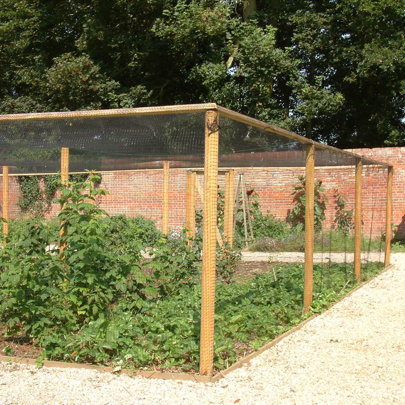 Timber Fruit Cages Harrod Horticultural (UK) Fruit cage, Garden netting, Berry garden