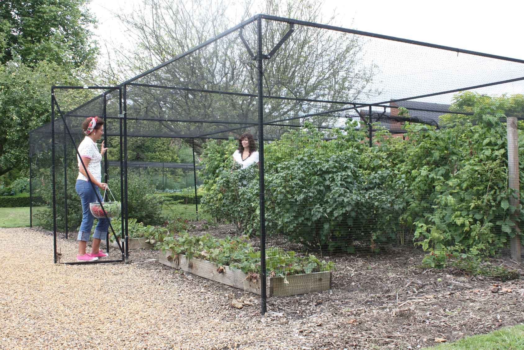 Steel Fruit Cage with Butterfly Net Harrod Horticultural (UK)