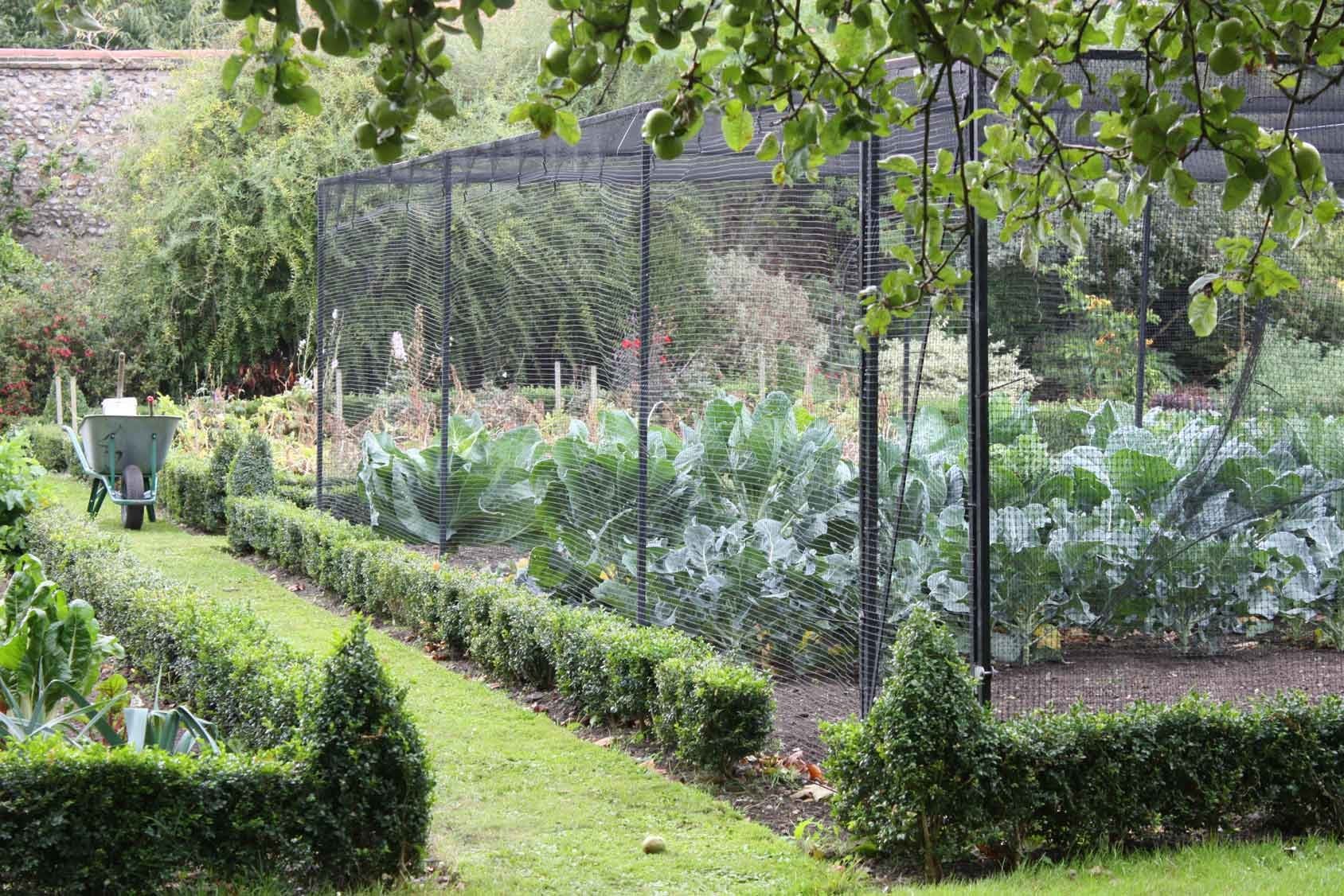 Steel Fruit Cage with Butterfly Net Harrod Horticultural (UK)