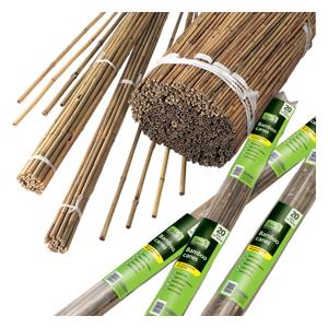 Bamboo Canes