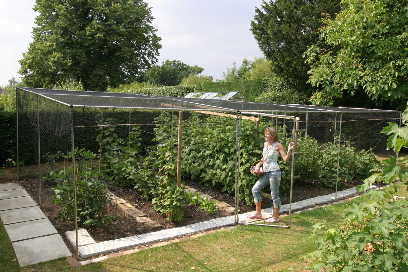 Aluminium Fruit Cage with Butterfly Netting Harrod Horticultural