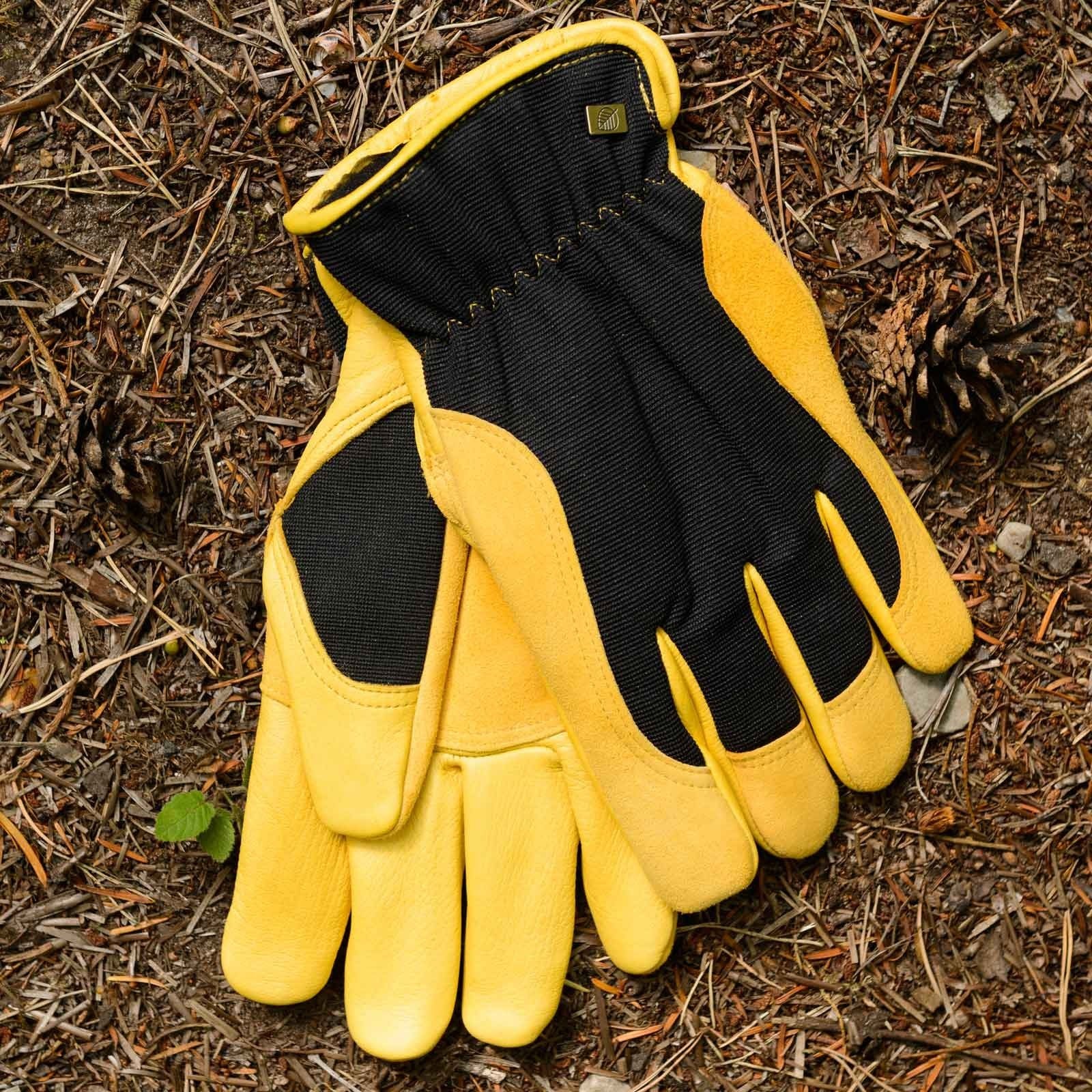 Winter touch gloves 2025
