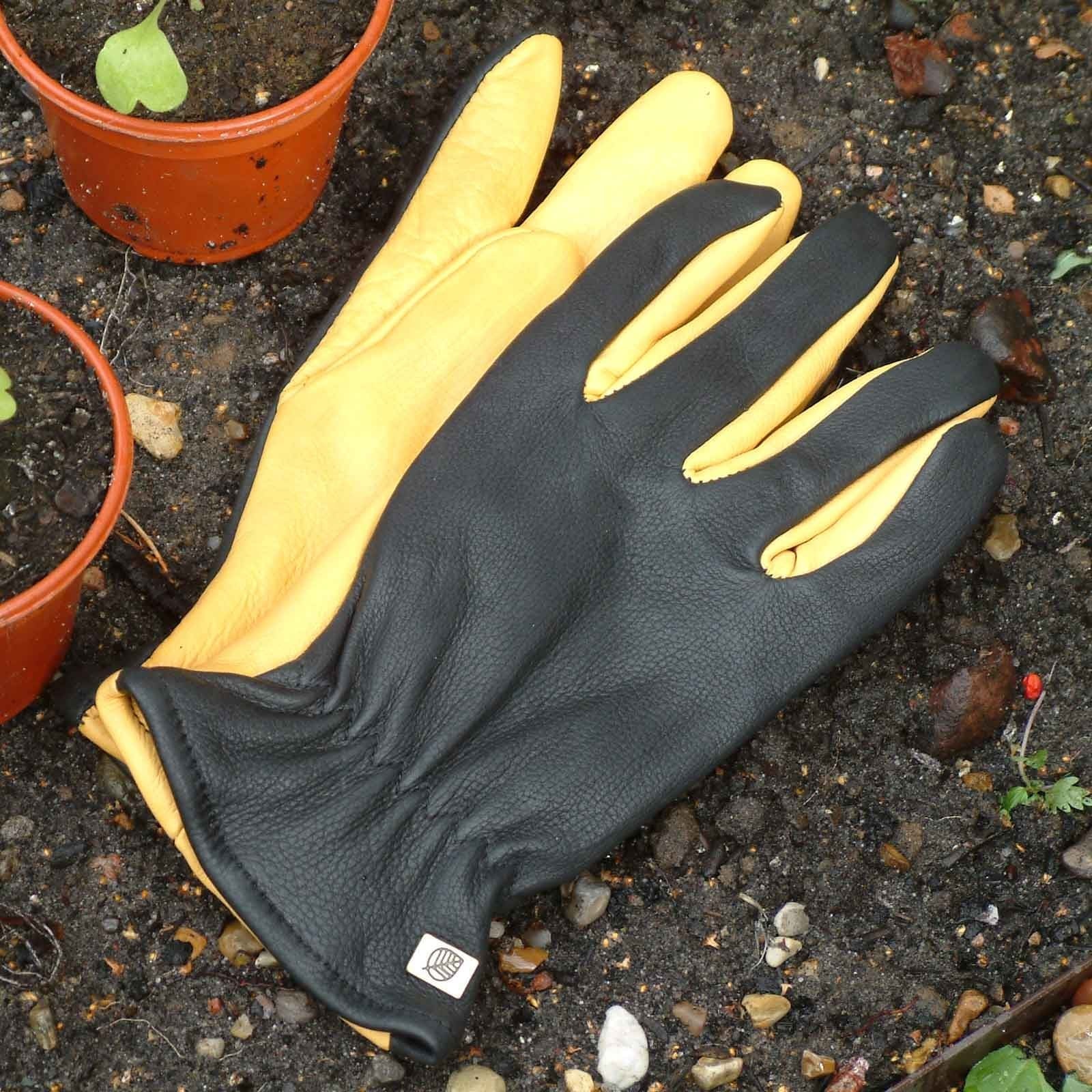 Gold Leaf Dry Touch Gloves