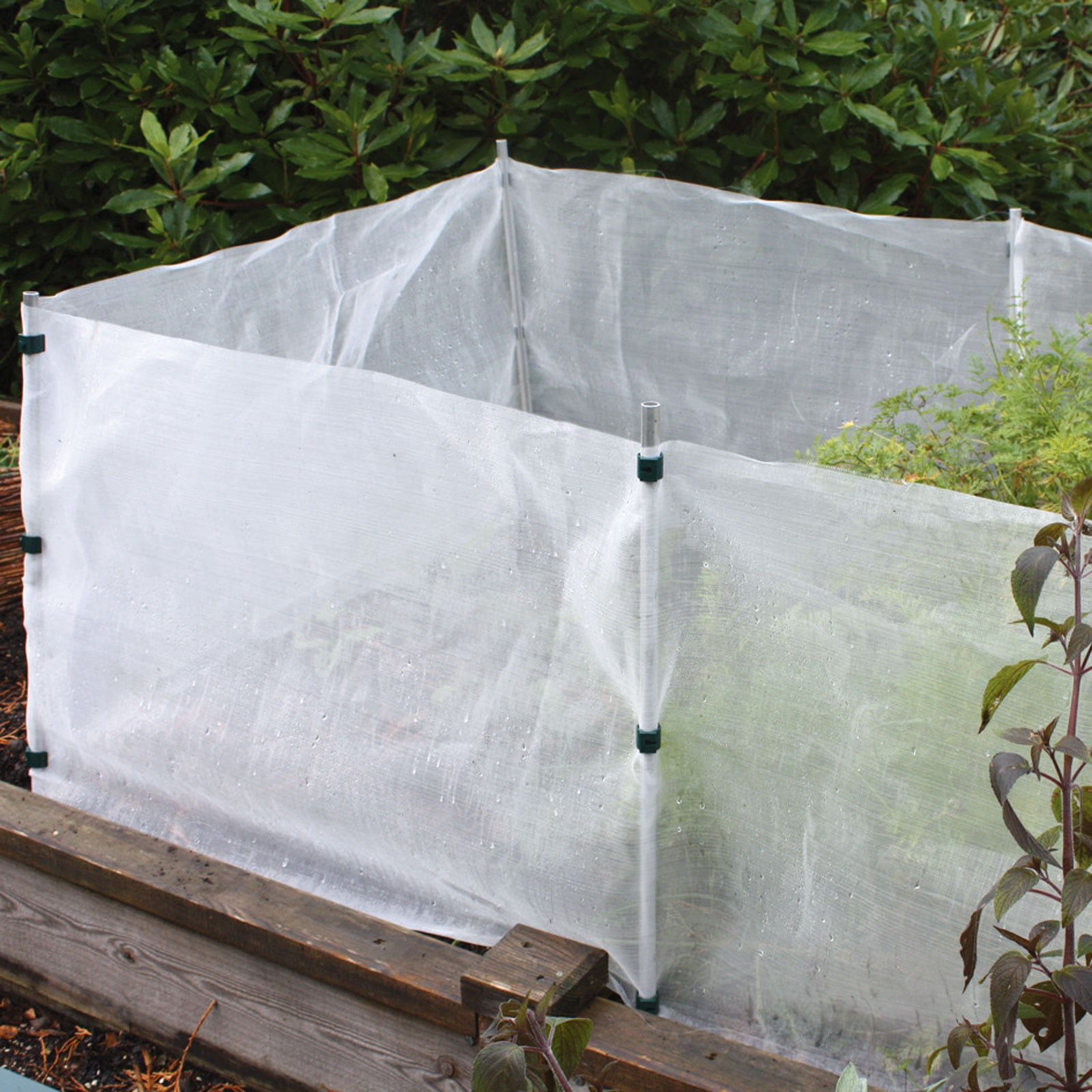 Insect Mesh Pest andamp; Wind Barrier from Harrod Horticultural