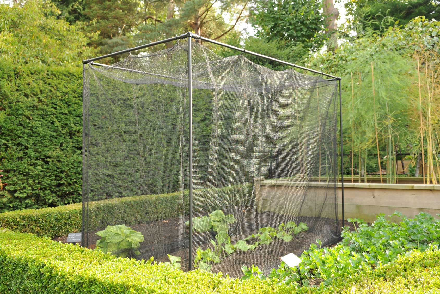 Harrod Stormproof (black 1.2m H) Frame Saver Vegetable Cage from Harrod Horticultural