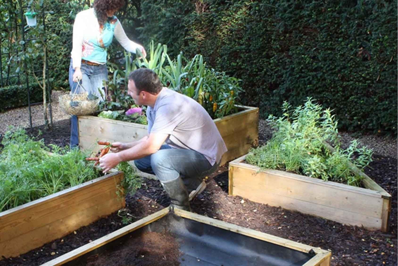 Allotment Wooden Raised Beds Harrod Horticultural