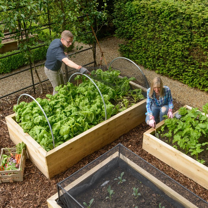 Standard Wooden Raised Beds Harrod Horticultural