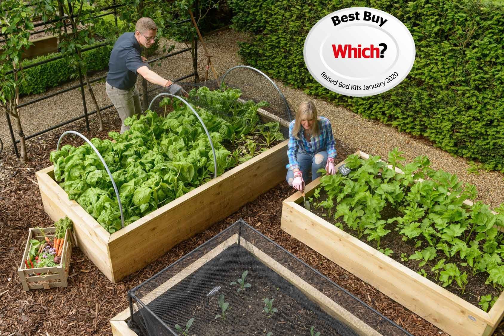 Raised Beds Selection Allotment, Garden, or Patio Allotment Book