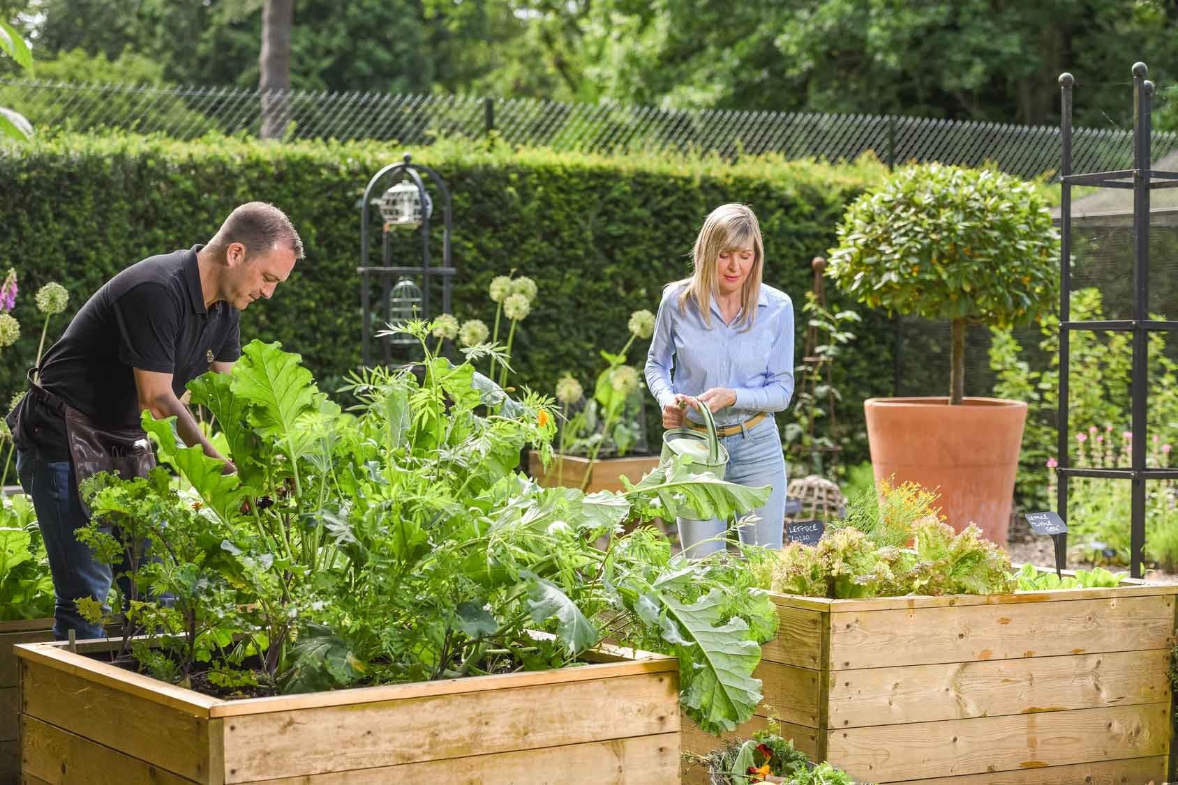 Standard Wooden Raised Beds Harrod Horticultural