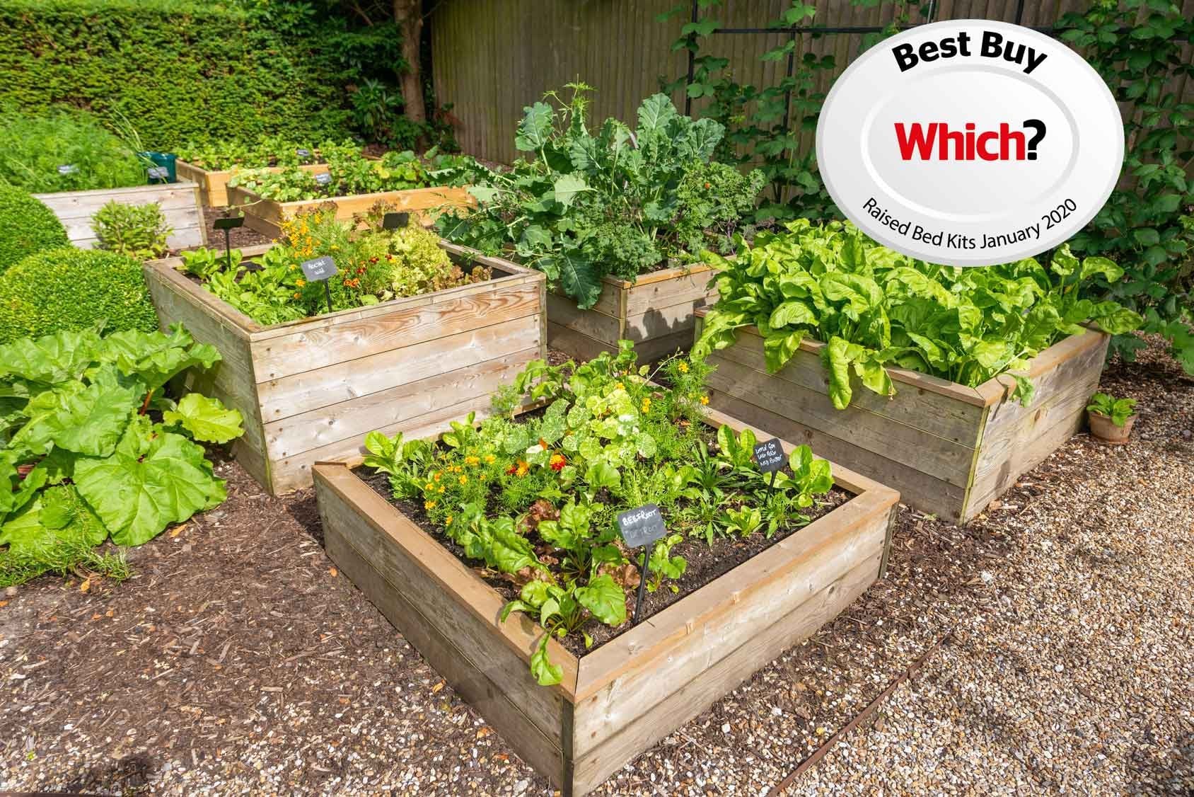 Standard Wooden Raised Beds Harrod Horticultural