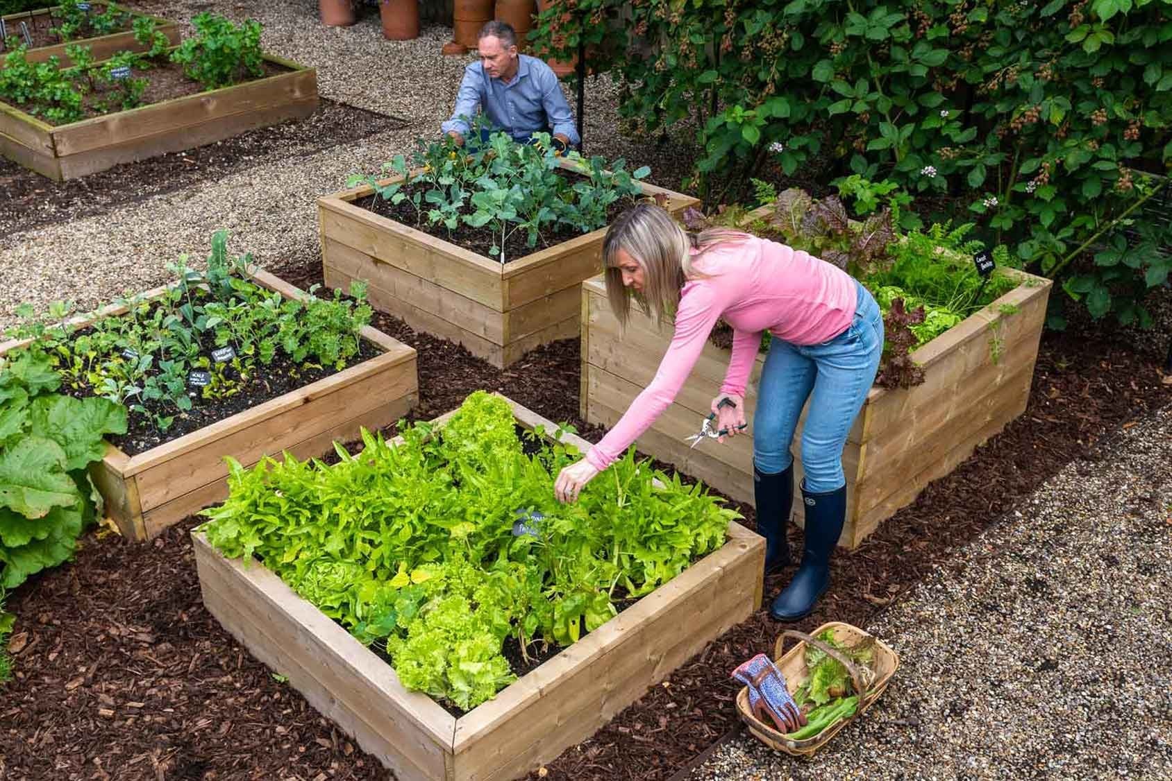 3'x6' Convertible Raised Garden Bed