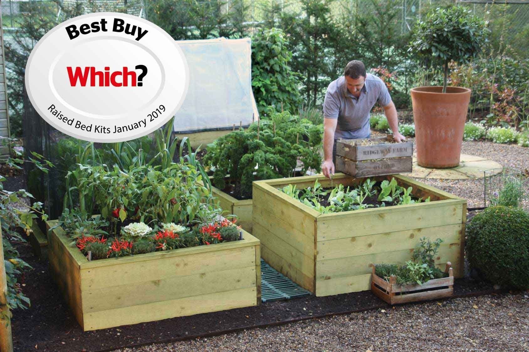 Standard Wooden Raised Beds Harrod Horticultural