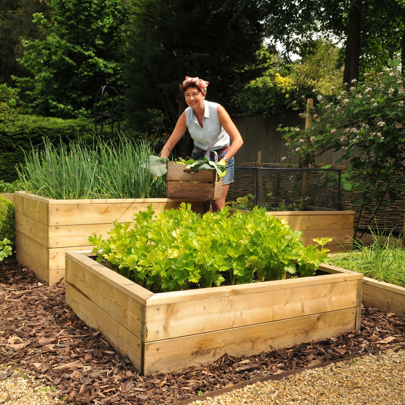 Raised Vegitable Planter - Harrod Horticultural