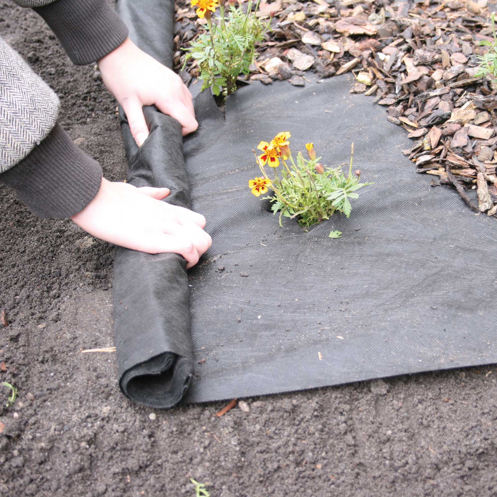 Ground Cover Fabric 50g Harrod, Ground Cover For Weed Control