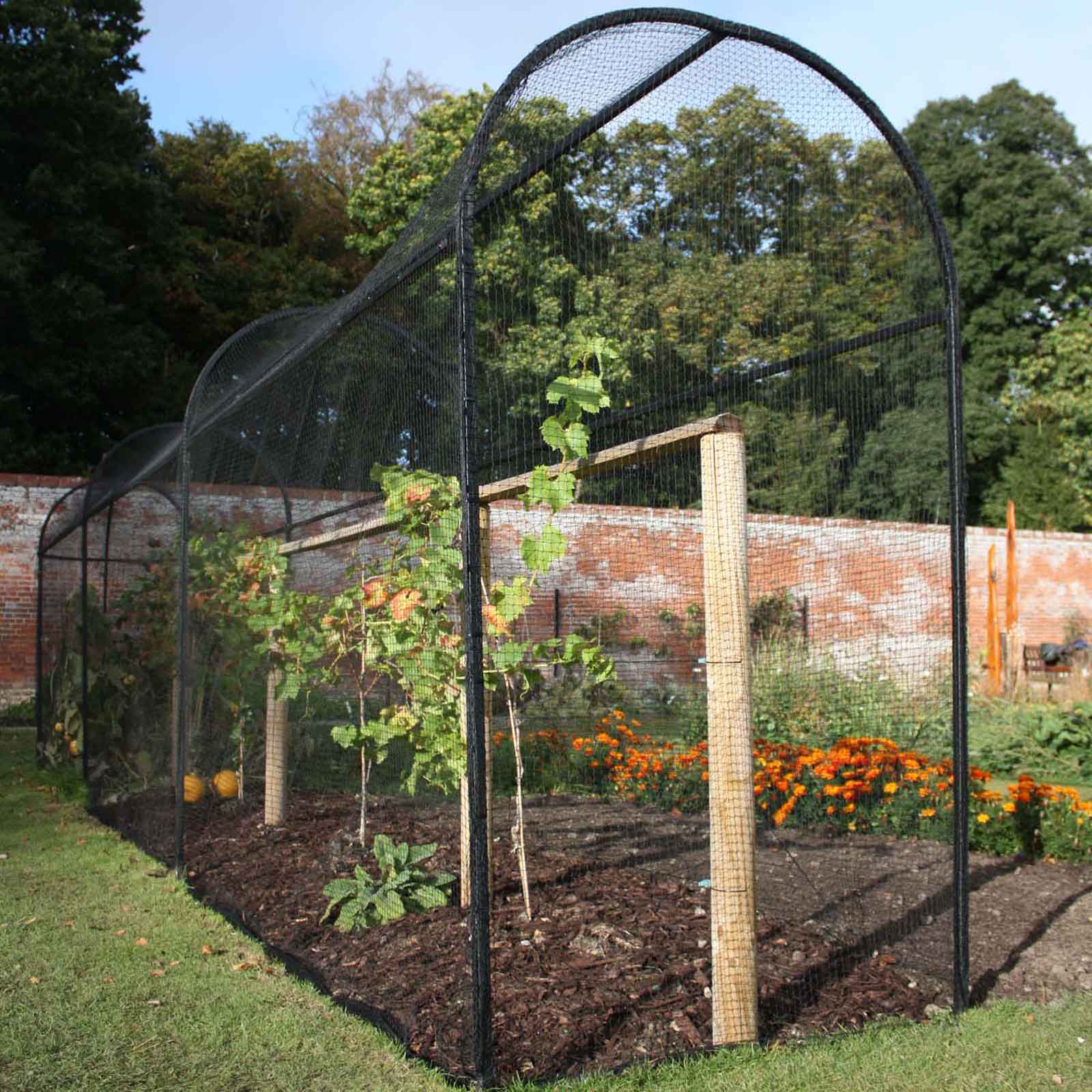 WalkIn Steel Corridor Cage Harrod Horticultural (UK)