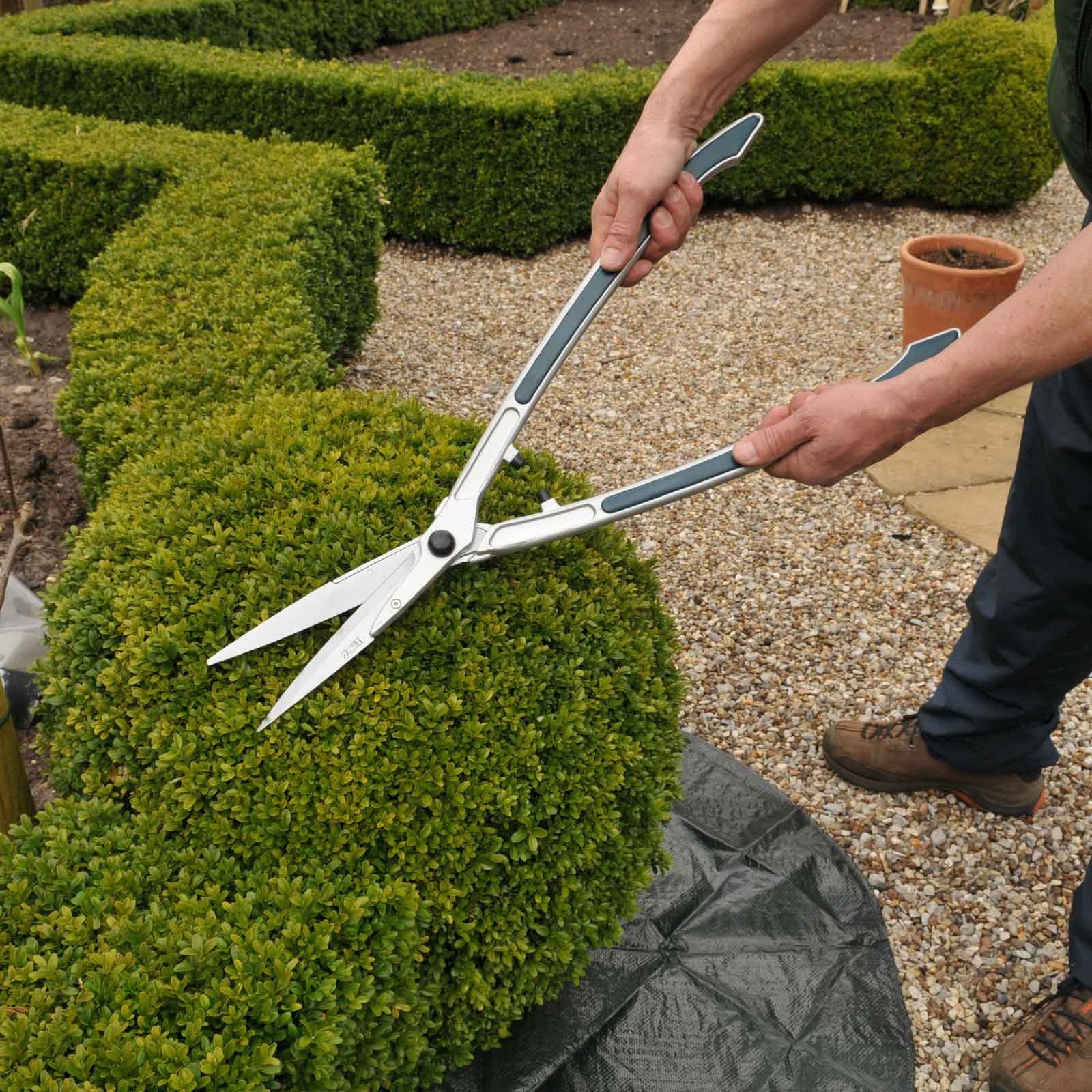 Burgon And Ball Topiary Hedge Shears from Harrod Horticultural