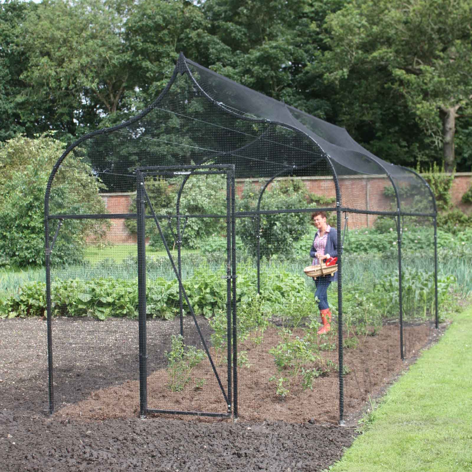 Chicken Wire - Harrod Horticultural (UK)