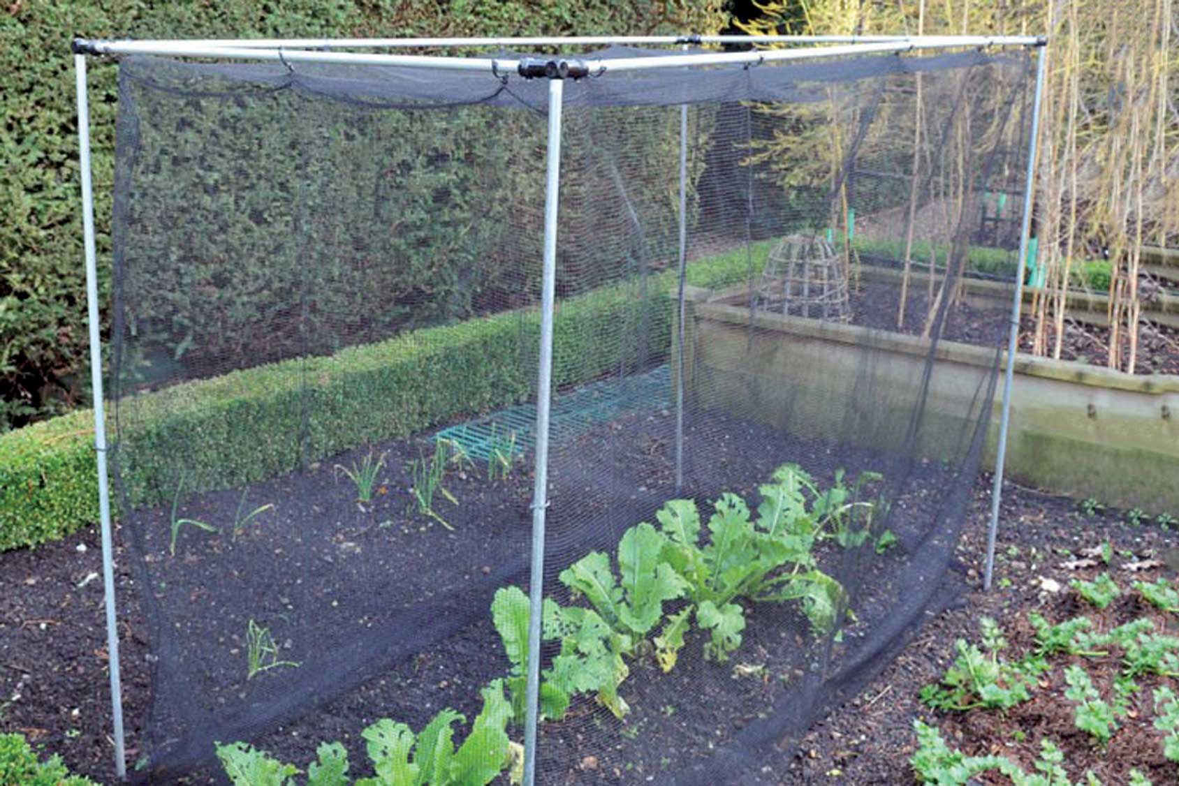 Harrod Stormproof (natural 1.5m H) Vegetable Cage from Harrod Horticultural