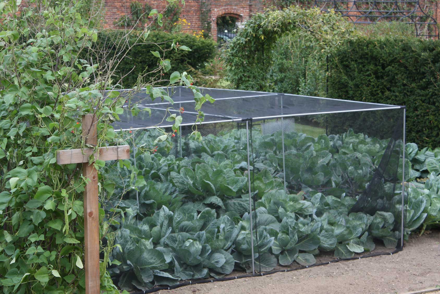 Harrod Slot & Lock(r) Vegetable Cage (1.2m H)
